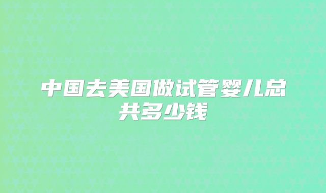 中国去美国做试管婴儿总共多少钱