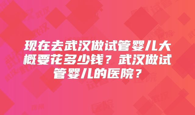 现在去武汉做试管婴儿大概要花多少钱？武汉做试管婴儿的医院？
