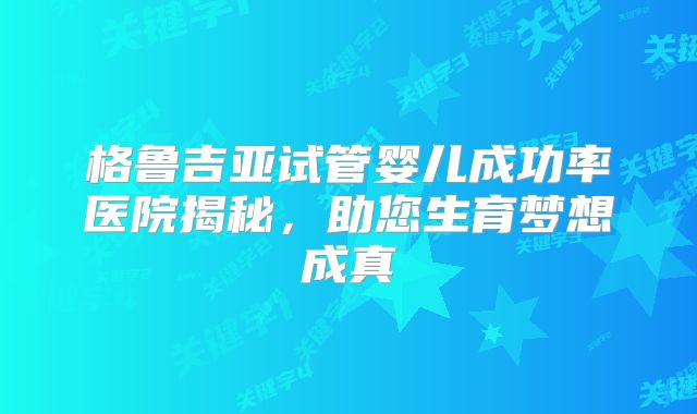 格鲁吉亚试管婴儿成功率医院揭秘，助您生育梦想成真