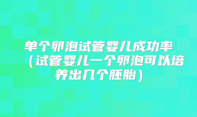 单个卵泡试管婴儿成功率（试管婴儿一个卵泡可以培养出几个胚胎）