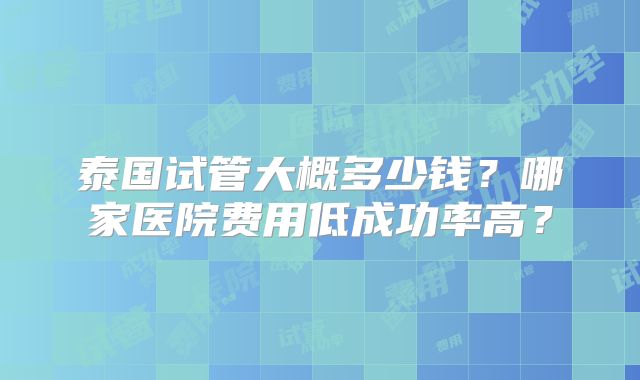 泰国试管大概多少钱？哪家医院费用低成功率高？