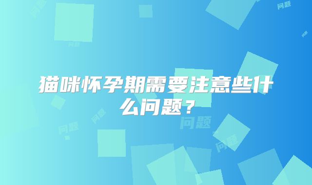 猫咪怀孕期需要注意些什么问题?
