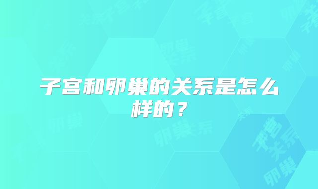 子宫和卵巢的关系是怎么样的？