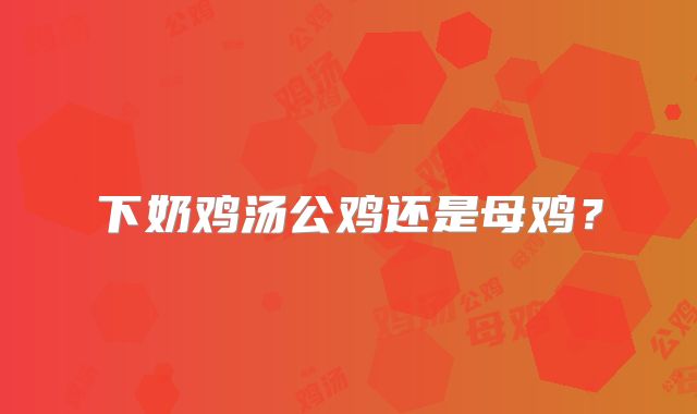 下奶鸡汤公鸡还是母鸡？