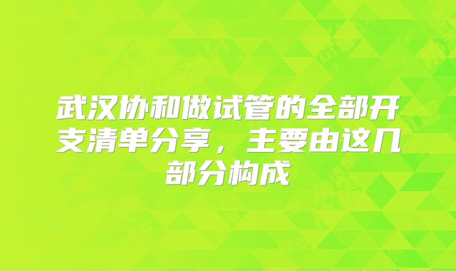 武汉协和做试管的全部开支清单分享,主要由这几部分构成