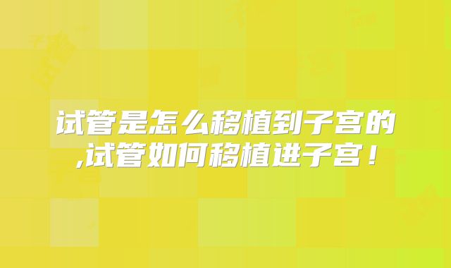试管是怎么移植到子宫的,试管如何移植进子宫!