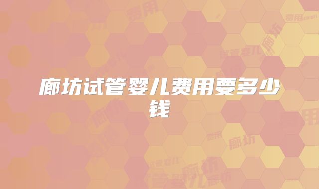 廊坊试管婴儿费用要多少钱