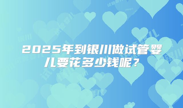 2025年到银川做试管婴儿要花多少钱呢？