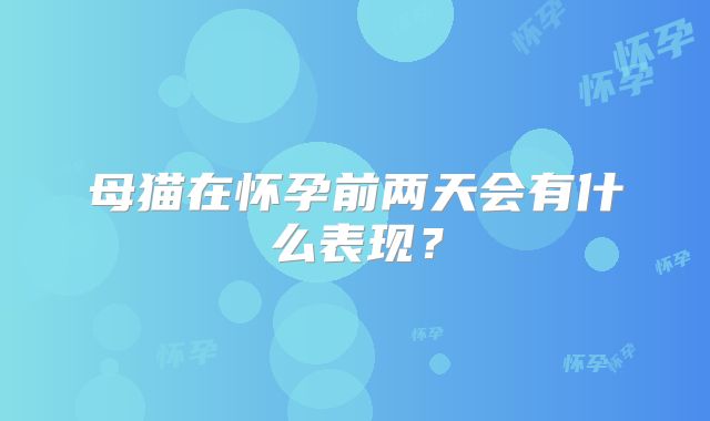 母猫在怀孕前两天会有什么表现？