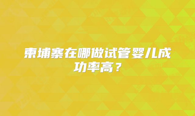 柬埔寨在哪做试管婴儿成功率高？