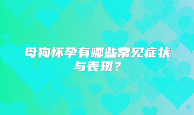 母狗怀孕有哪些常见症状与表现?