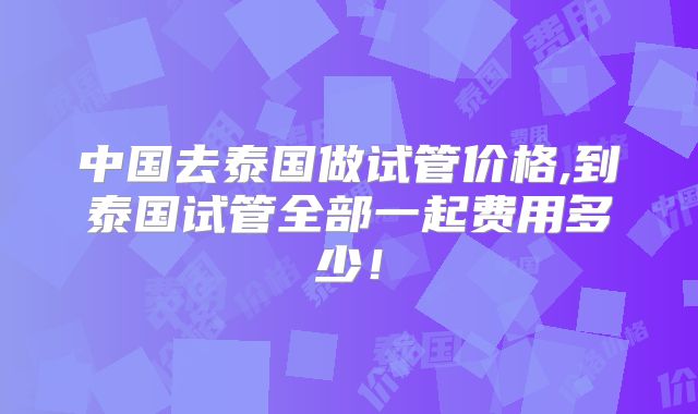 中国去泰国做试管价格,到泰国试管全部一起费用多少!