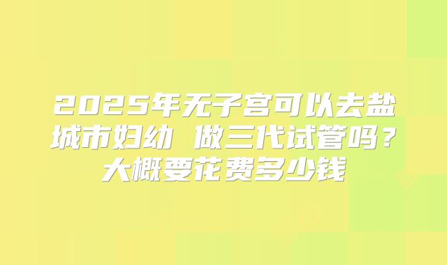 2025年无子宫可以去盐城市妇幼 做三代试管吗？大概要花费多少钱