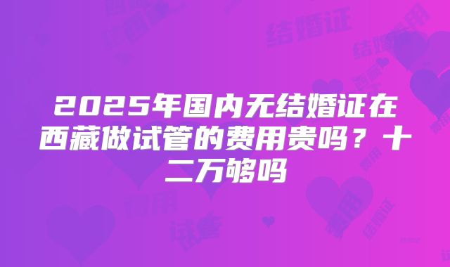 2025年国内无结婚证在西藏做试管的费用贵吗？十二万够吗