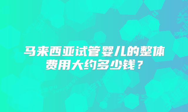 马来西亚试管婴儿的整体费用大约多少钱?