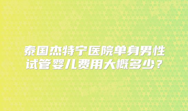 泰国杰特宁医院单身男性试管婴儿费用大概多少?