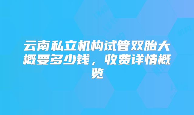 云南私立机构试管双胎大概要多少钱，收费详情概览