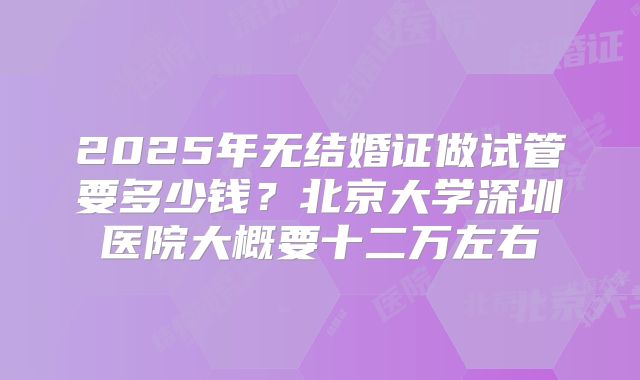 2025年无结婚证做试管要多少钱?北京大学深圳医院大概要十二万左右
