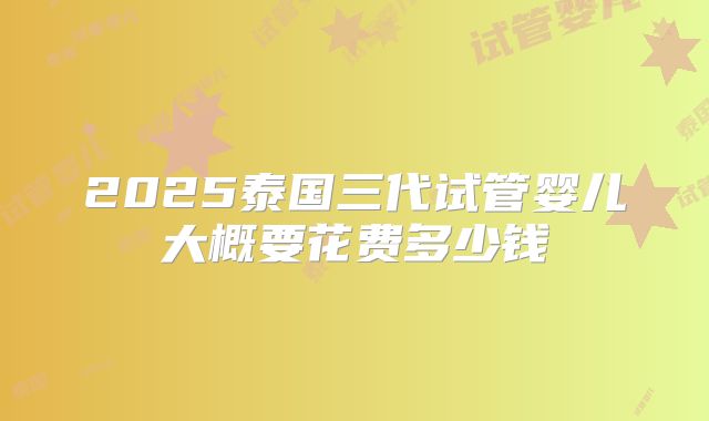2025泰国三代试管婴儿大概要花费多少钱