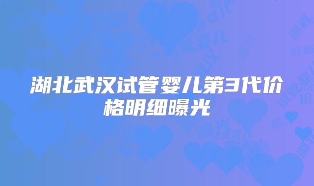 湖北武汉试管婴儿第3代价格明细曝光