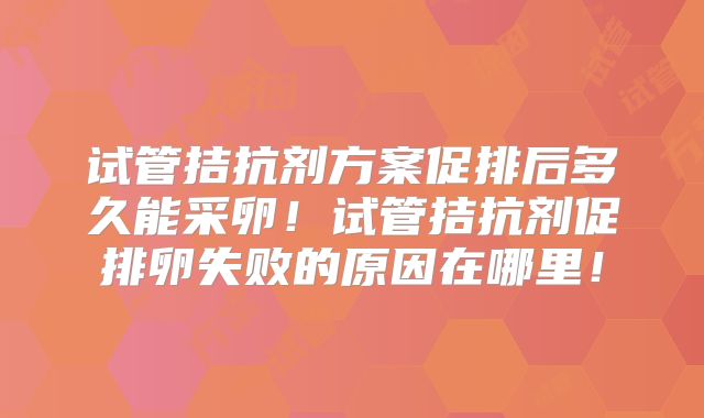 试管拮抗剂方案促排后多久能采卵！试管拮抗剂促排卵失败的原因在哪里！