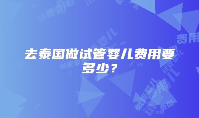 去泰国做试管婴儿费用要多少？