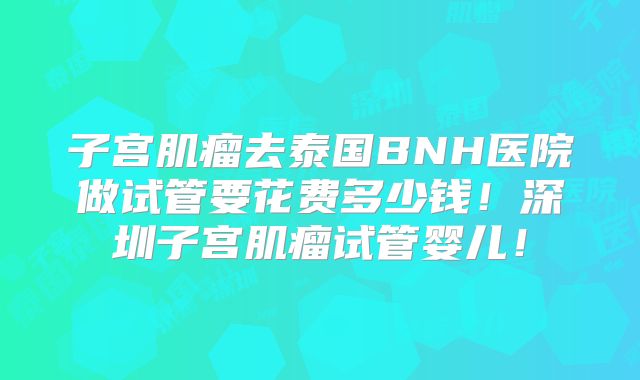 子宫肌瘤去泰国BNH医院做试管要花费多少钱!深圳子宫肌瘤试管婴儿!