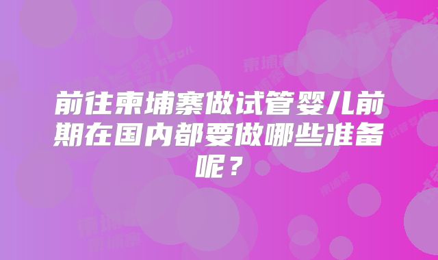 前往柬埔寨做试管婴儿前期在国内都要做哪些准备呢？