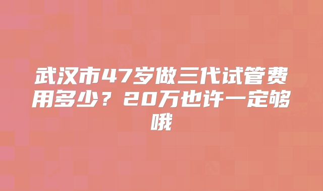 武汉市47岁做三代试管费用多少？20万也许一定够哦