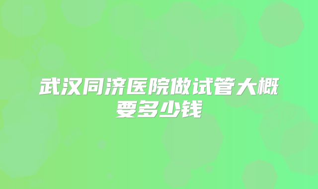 武汉同济医院做试管大概要多少钱