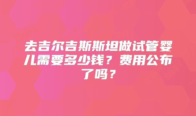 去吉尔吉斯斯坦做试管婴儿需要多少钱？费用公布了吗？
