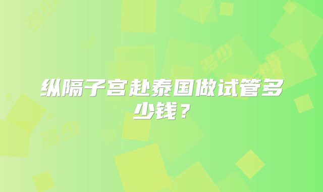 纵隔子宫赴泰国做试管多少钱?