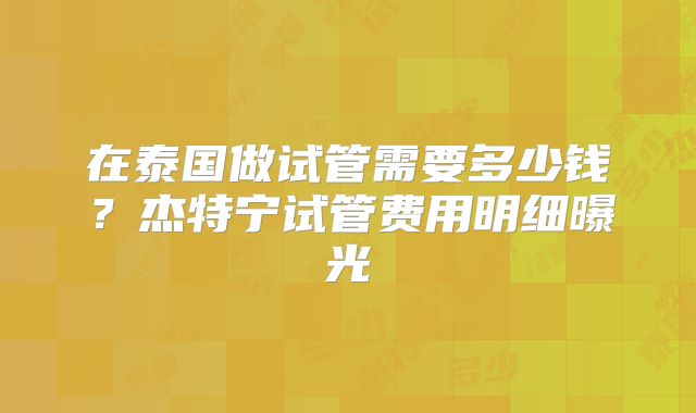 在泰国做试管需要多少钱？杰特宁试管费用明细曝光