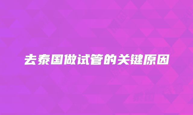 去泰国做试管的关键原因