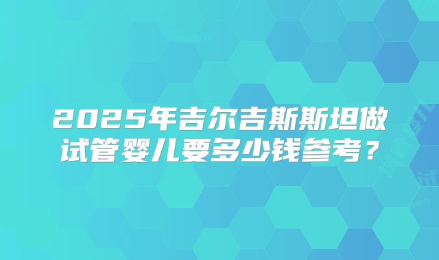 2025年吉尔吉斯斯坦做试管婴儿要多少钱参考？