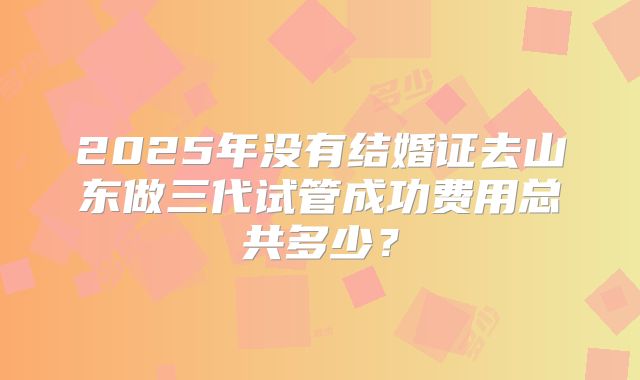 2025年没有结婚证去山东做三代试管成功费用总共多少？