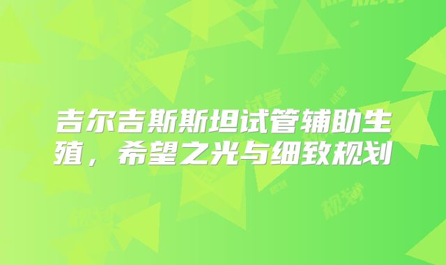 吉尔吉斯斯坦试管辅助生殖，希望之光与细致规划