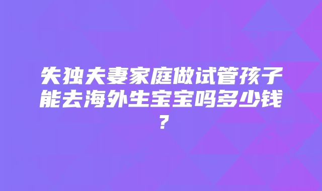失独夫妻家庭做试管孩子能去海外生宝宝吗多少钱？