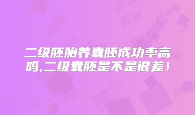 二级胚胎养囊胚成功率高吗,二级囊胚是不是很差!