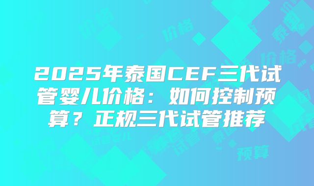 2025年泰国CEF三代试管婴儿价格：如何控制预算？正规三代试管推荐