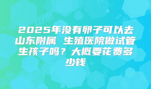 2025年没有卵子可以去山东附属 生殖医院做试管生孩子吗？大概要花费多少钱