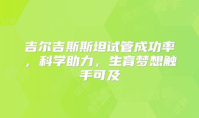 吉尔吉斯斯坦试管成功率，科学助力，生育梦想触手可及
