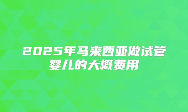 2025年马来西亚做试管婴儿的大概费用