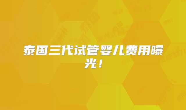 泰国三代试管婴儿费用曝光!