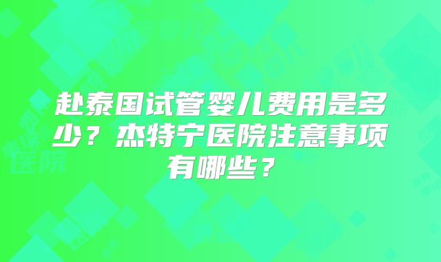 赴泰国试管婴儿费用是多少?杰特宁医院注意事项有哪些?