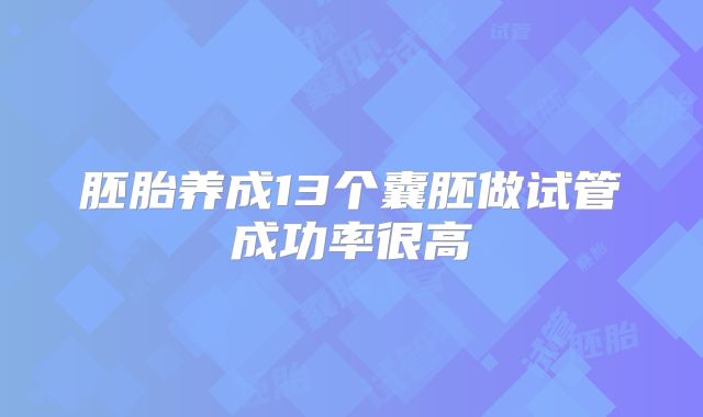 胚胎养成13个囊胚做试管成功率很高