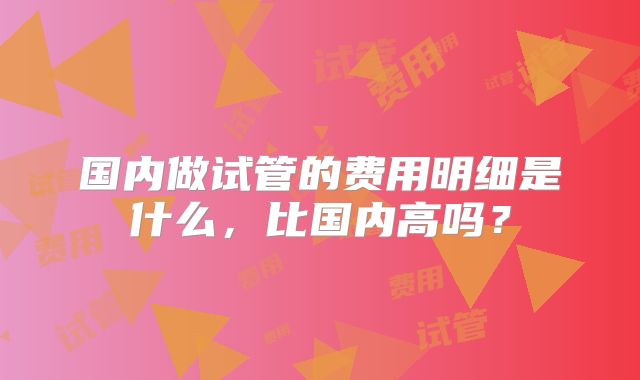 国内做试管的费用明细是什么，比国内高吗？