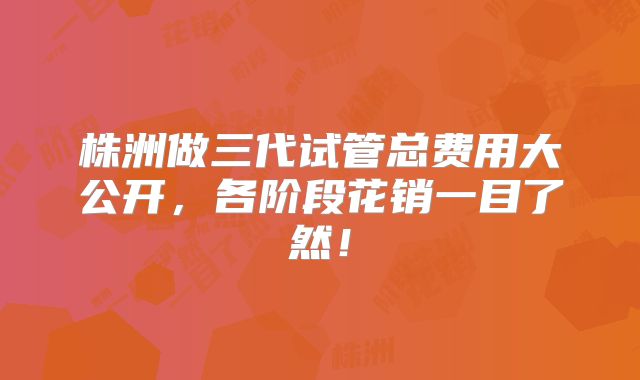 株洲做三代试管总费用大公开，各阶段花销一目了然！