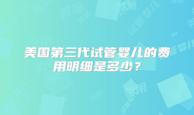 美国第三代试管婴儿的费用明细是多少?