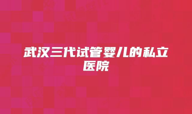 武汉三代试管婴儿的私立医院